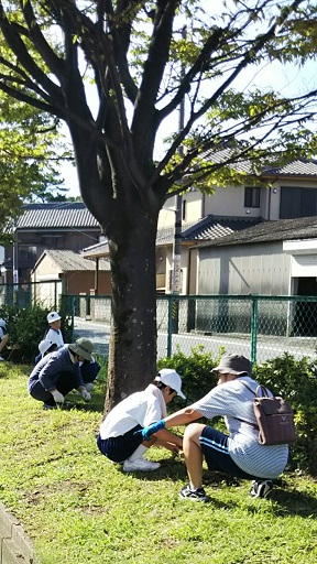 令和元年度 環境整備作業A